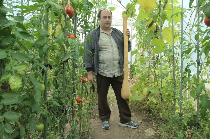 TROMBETTA (6) - DOVLECEL TROMBETTA DALBENGA 2019