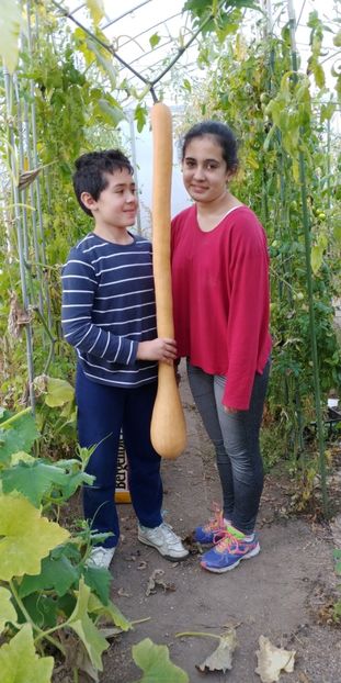 TROMBETTA NOIEMBRIE (2) - DOVLECEL TROMBETTA DALBENGA 2019