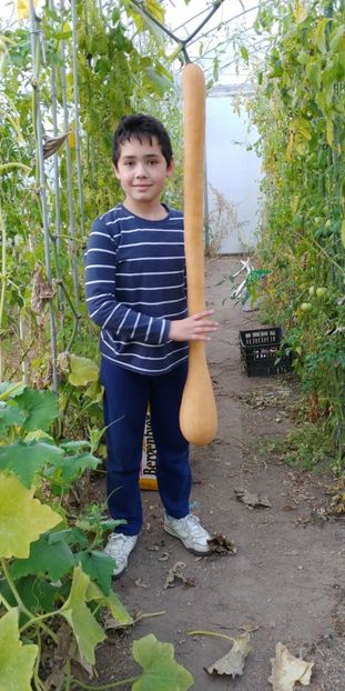 TROMBETTA NOIEMBRIE (4) - DOVLECEL TROMBETTA DALBENGA 2019