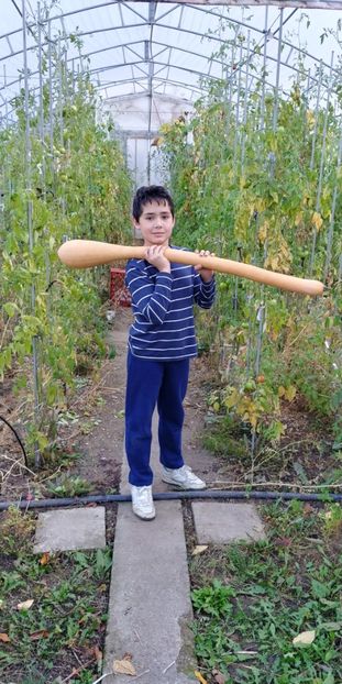 TROMBETTA NOIEMBRIE (6) - DOVLECEL TROMBETTA DALBENGA 2019