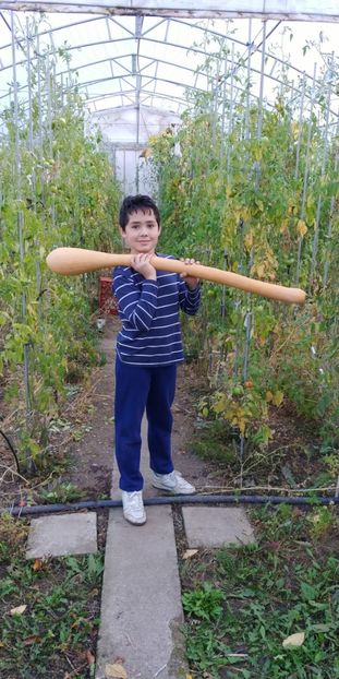 TROMBETTA NOIEMBRIE (7) - DOVLECEL TROMBETTA DALBENGA 2019