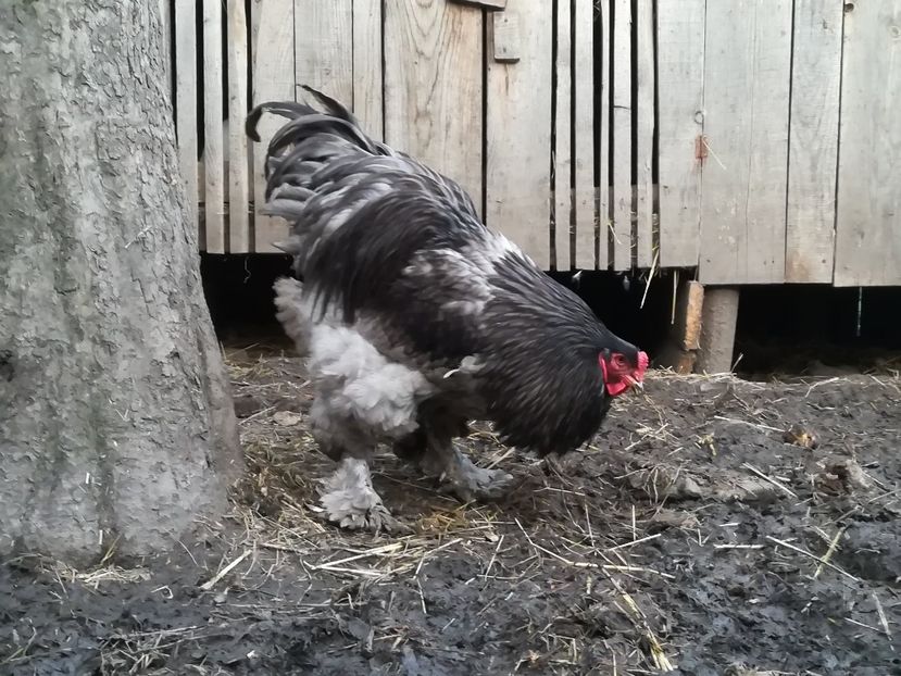  - 00-CONTACT 0746 126 026