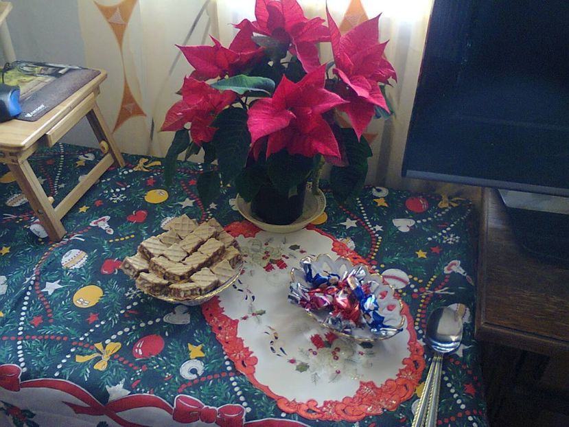 Fotografie5480 - 2019 PRIMA ZI DE CRACIUN