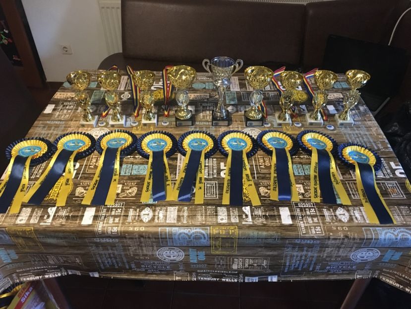 CF829429-A7C5-46B0-AB4C-1B6555960ADF - 8 - Prima ediție a expo Club CIRA 20-22 Decembrie 2019