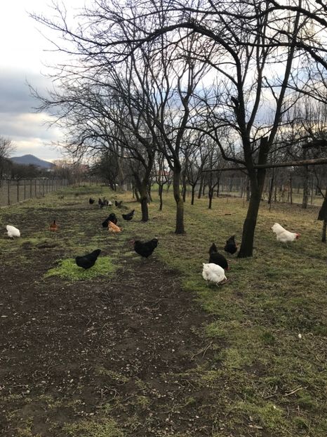 A8DF5AC8-990C-4966-90C5-D0F4A383A5DA - B 2019