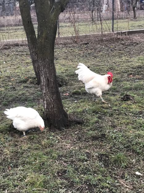 FD4E4118-E69A-4DE0-8A38-C6357C4B1278 - B 2019