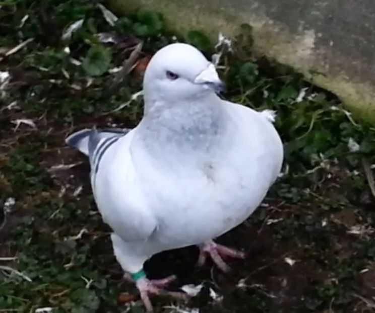 U549 ARCHIWUM - f- MLODE -2019- Youth