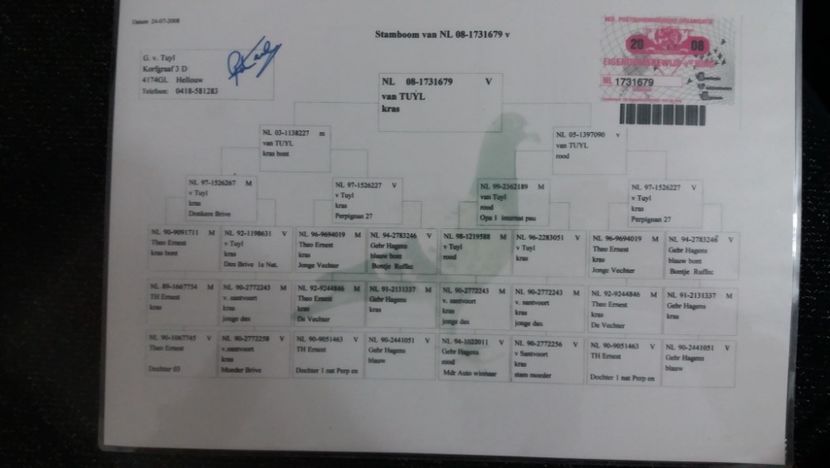 direct G.v.Tuyl - GERARD VAN TUYL