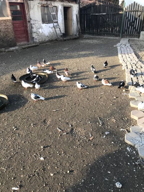 B9F597E4-1933-4D9C-8E02-2AEBE72D936A - galareni