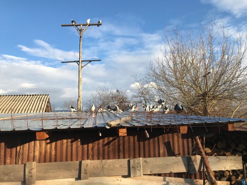 05664010-497D-4387-9A71-F89D8246C3B5 - galareni