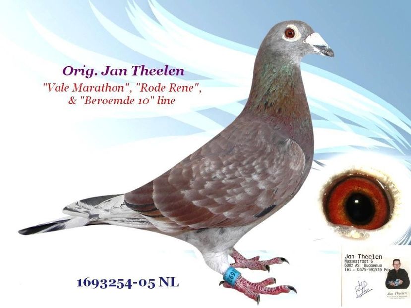 1693254-05_NL - JAN THEELEN