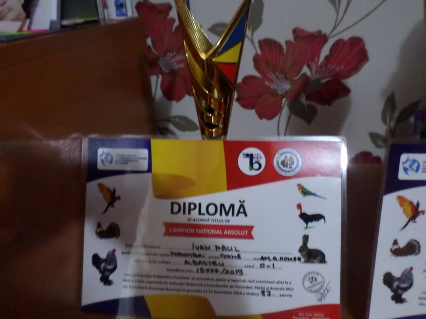 SAM_5529 - EXPOZITIA NATIONALA 2019 BUCURESTI REZULTATE OBINUTE