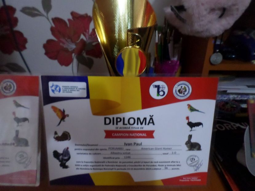 SAM_5530 - EXPOZITIA NATIONALA 2019 BUCURESTI REZULTATE OBINUTE