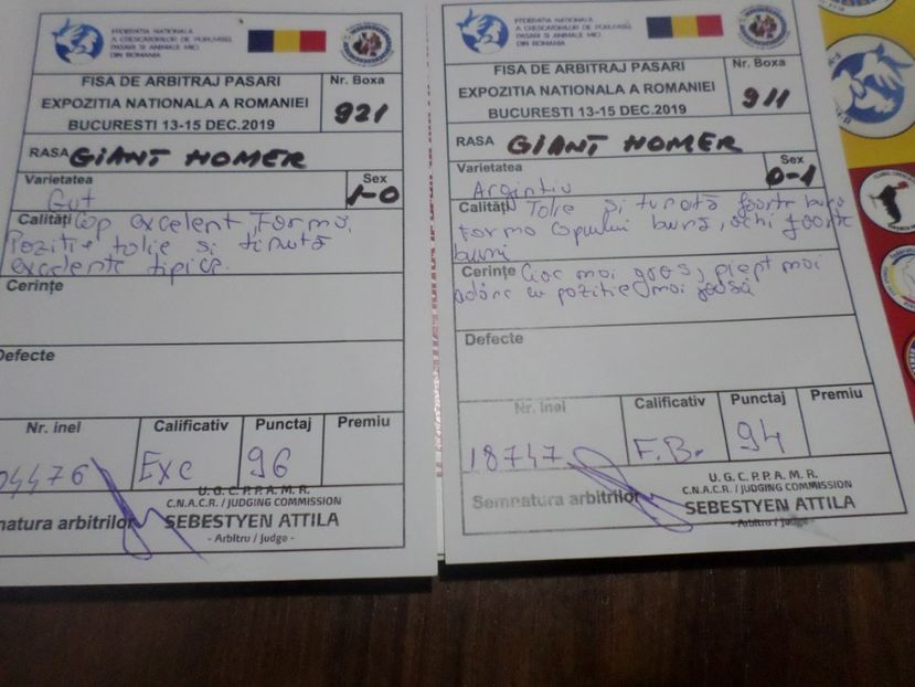 SAM_5538 - EXPOZITIA NATIONALA 2019 BUCURESTI REZULTATE OBINUTE