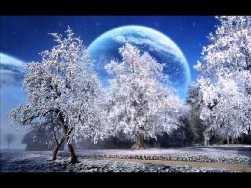  - FOSTUL SPITAL DE BOLI PSIHICE CRONICE ROCK CLUB BORSA MARAMURES resedinta privata