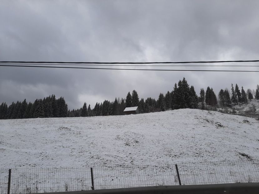  - Iarna Bucovina