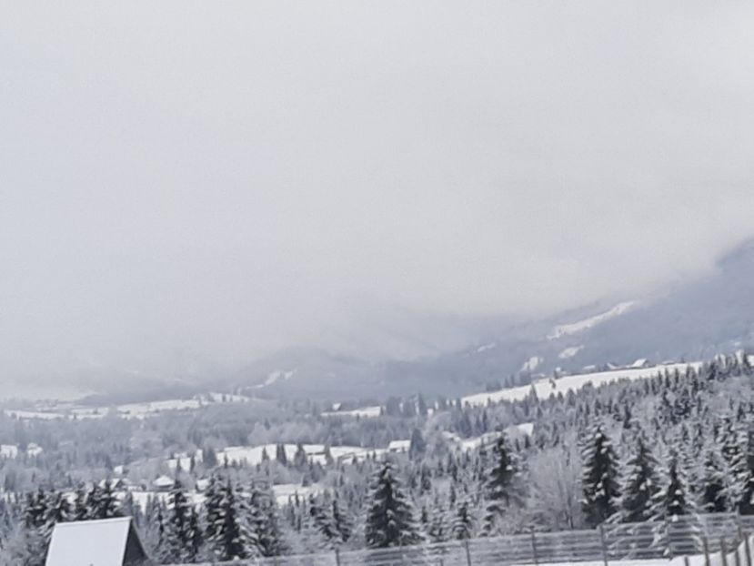  - Iarna Bucovina