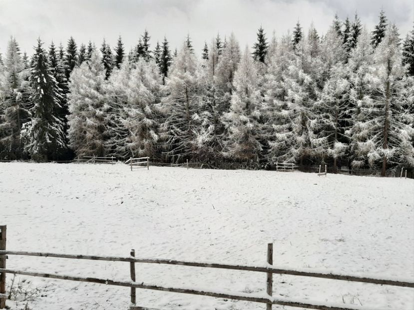  - Iarna Bucovina