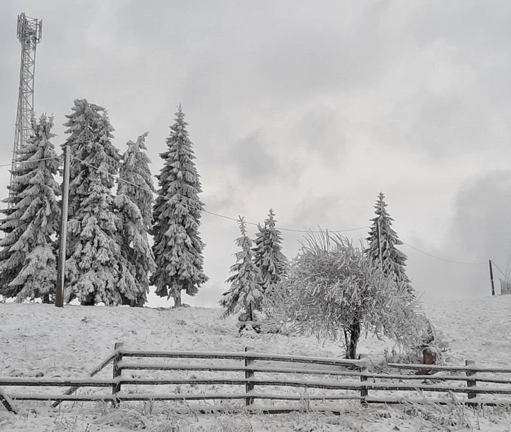  - Iarna Bucovina