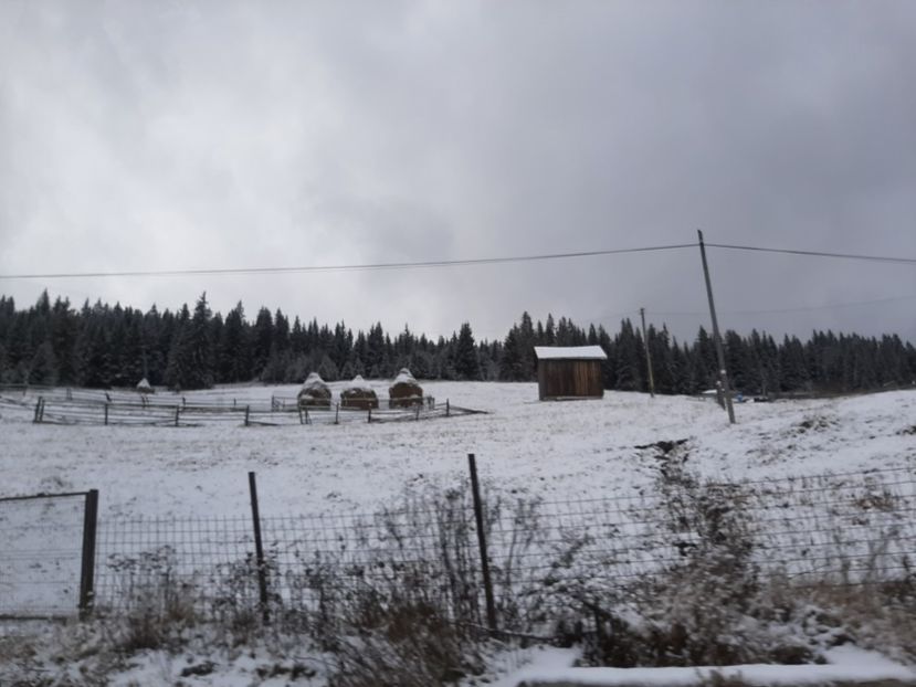  - Iarna Bucovina