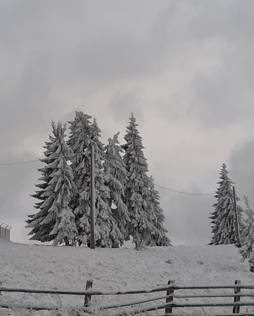  - Iarna Bucovina