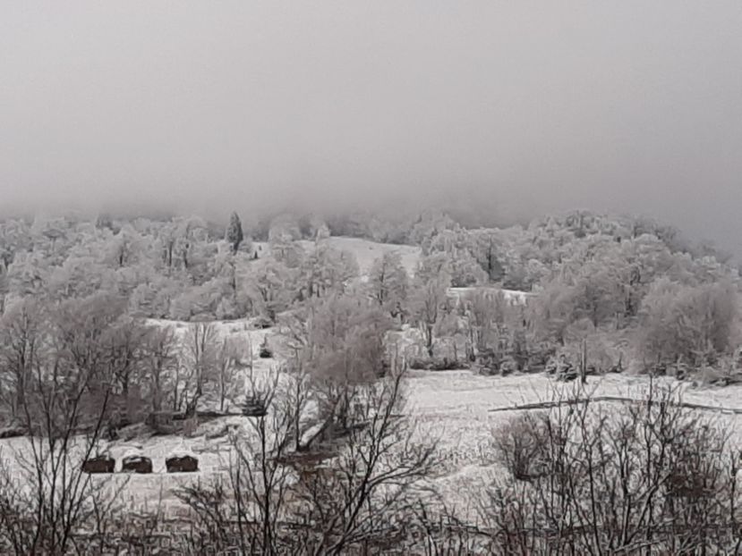  - Iarna Bucovina