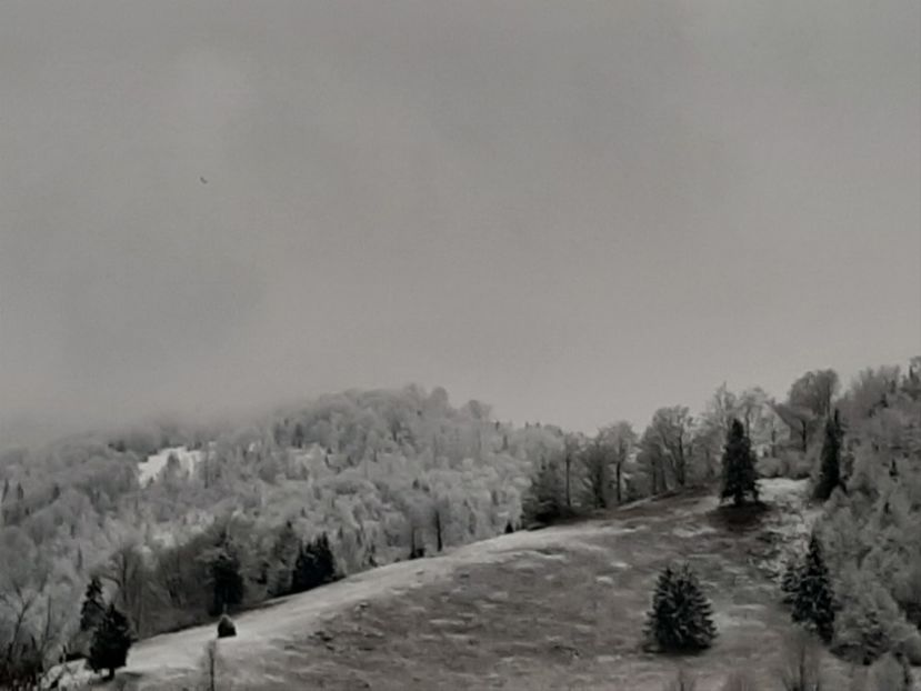  - Iarna Bucovina