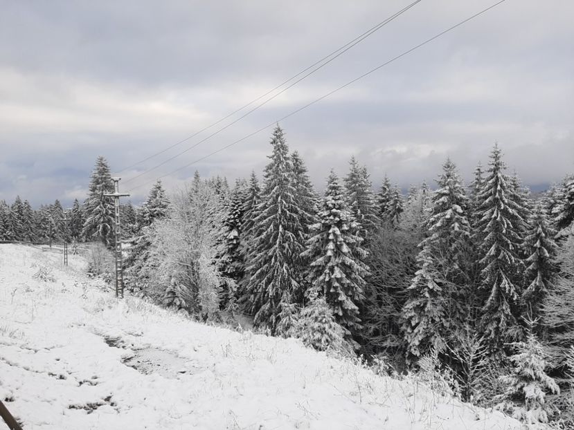  - Iarna Bucovina