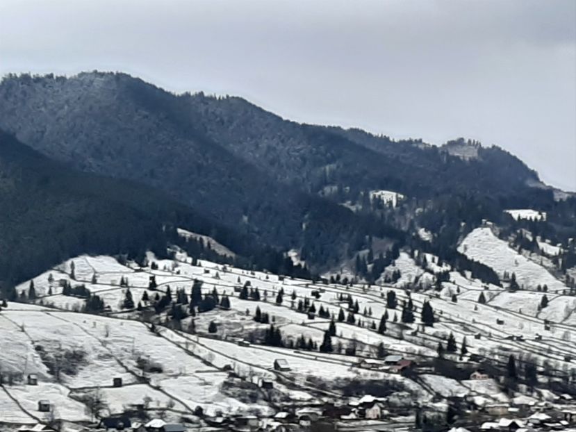  - Iarna Bucovina