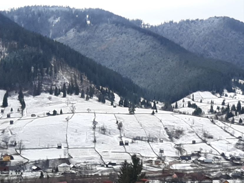  - Iarna Bucovina