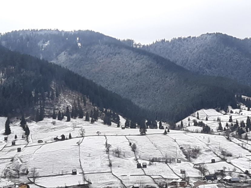  - Iarna Bucovina