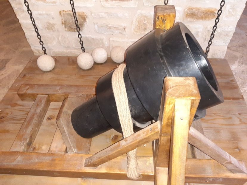  - Cetatea de scaun a Sucevei