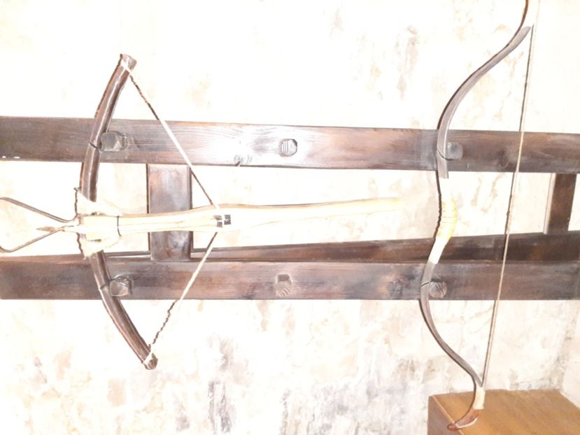  - Cetatea de scaun a Sucevei