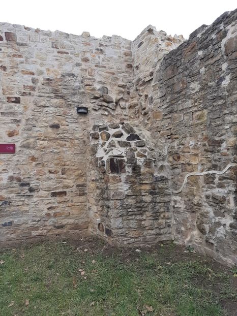  - Cetatea de scaun a Sucevei