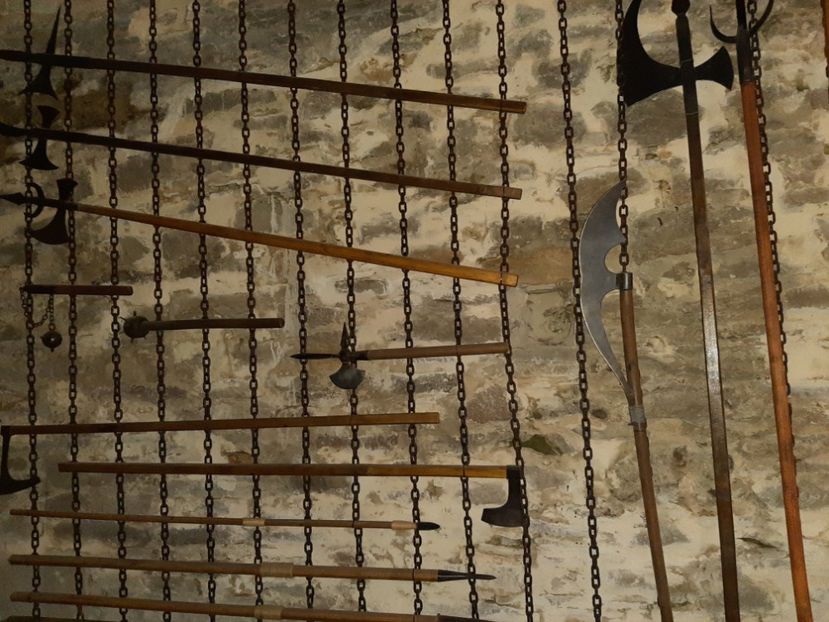  - Cetatea de scaun a Sucevei