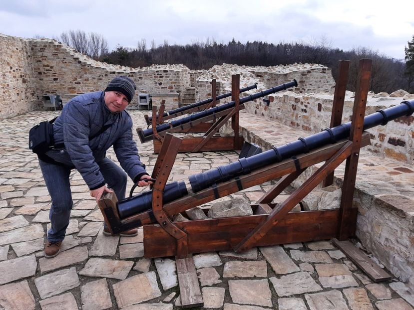  - Cetatea de scaun a Sucevei