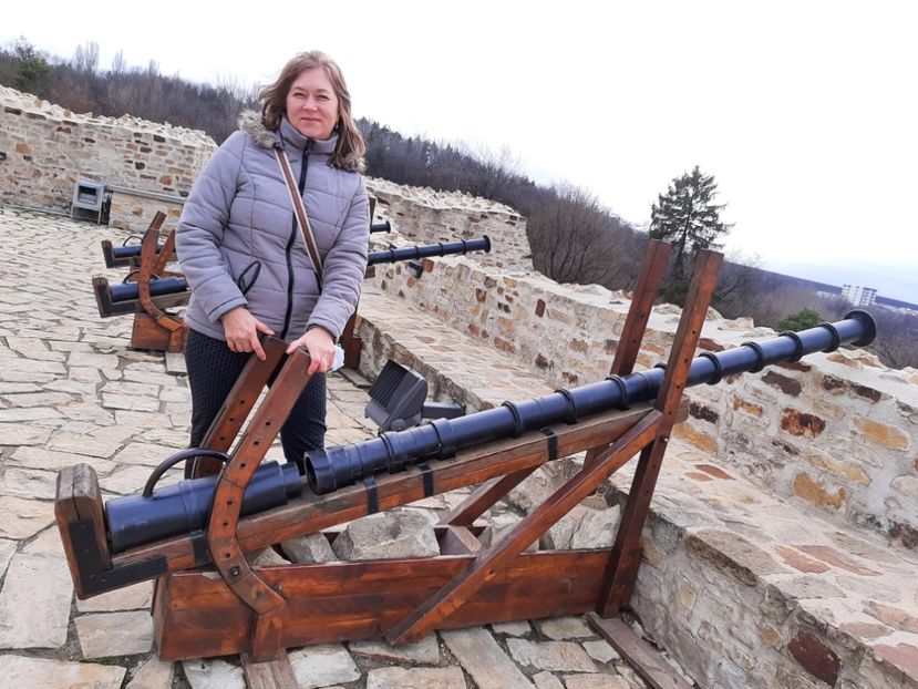  - Cetatea de scaun a Sucevei