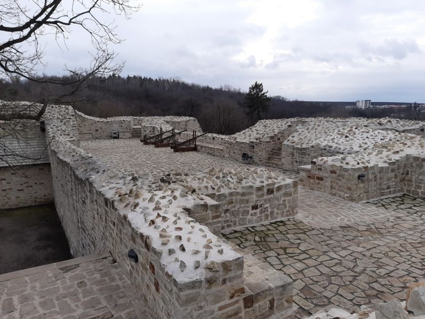  - Cetatea de scaun a Sucevei