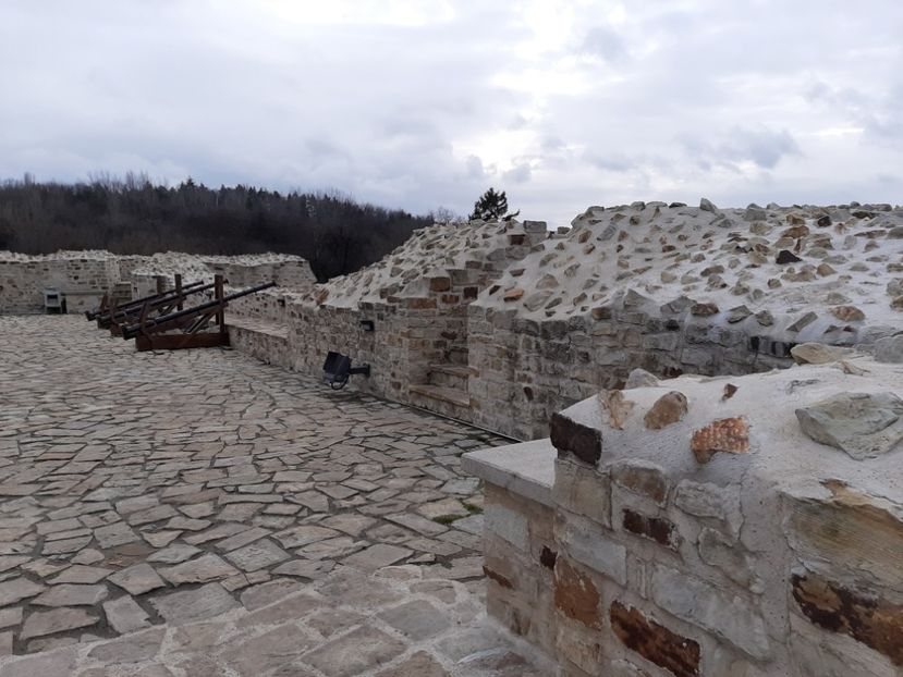  - Cetatea de scaun a Sucevei