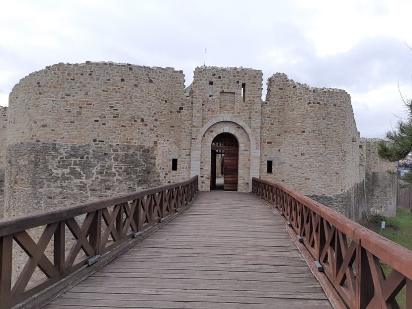  - Cetatea de scaun a Sucevei