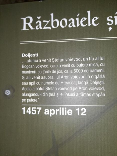  - Cetatea de scaun a Sucevei