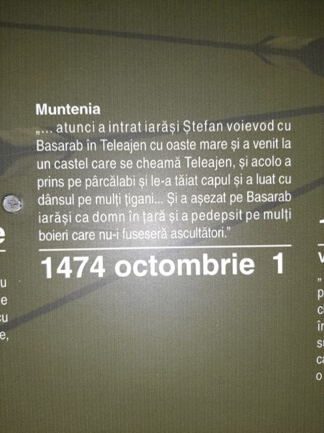  - Cetatea de scaun a Sucevei