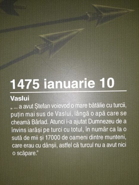  - Cetatea de scaun a Sucevei