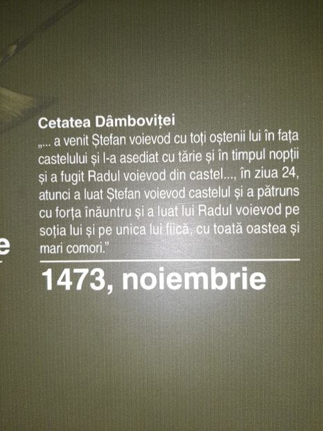  - Cetatea de scaun a Sucevei