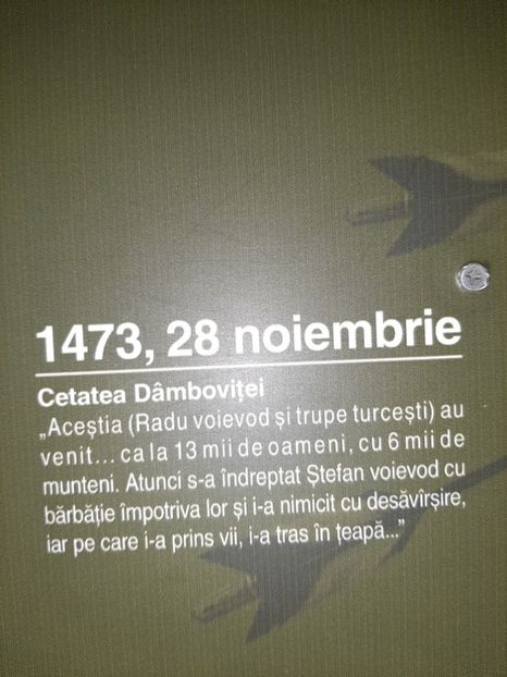  - Cetatea de scaun a Sucevei