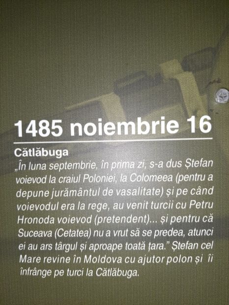  - Cetatea de scaun a Sucevei