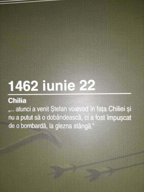  - Cetatea de scaun a Sucevei