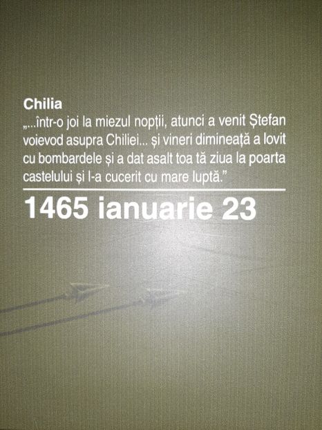  - Cetatea de scaun a Sucevei