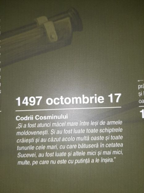  - Cetatea de scaun a Sucevei