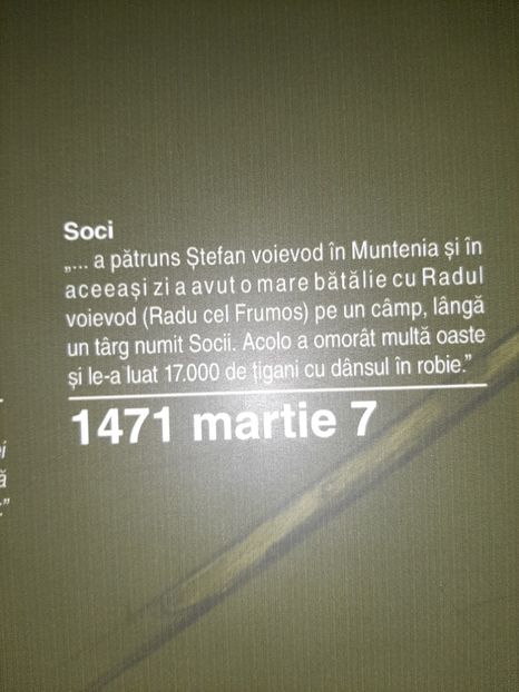  - Cetatea de scaun a Sucevei